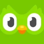 Duolingo: Learn English