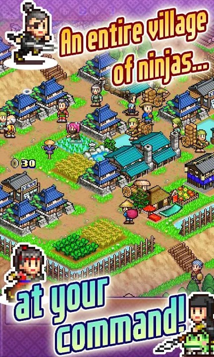 Ninja Village