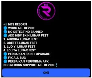 NBS Reborn 2023 Injector screenshot