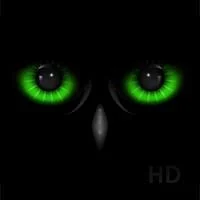 Night Eye