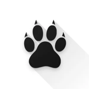 Amarok logo