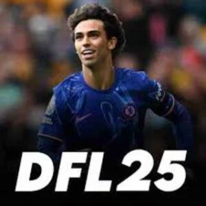 DFL 2025 logo