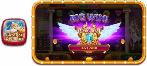 RVIP1 screenshot