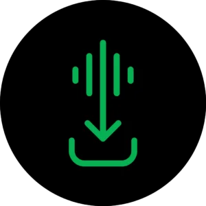 SpotiFLAC logo